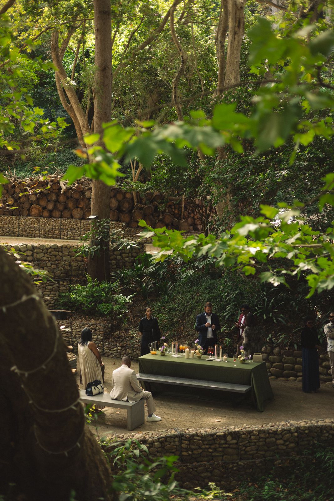Guests gathered at a long table in a forest garden