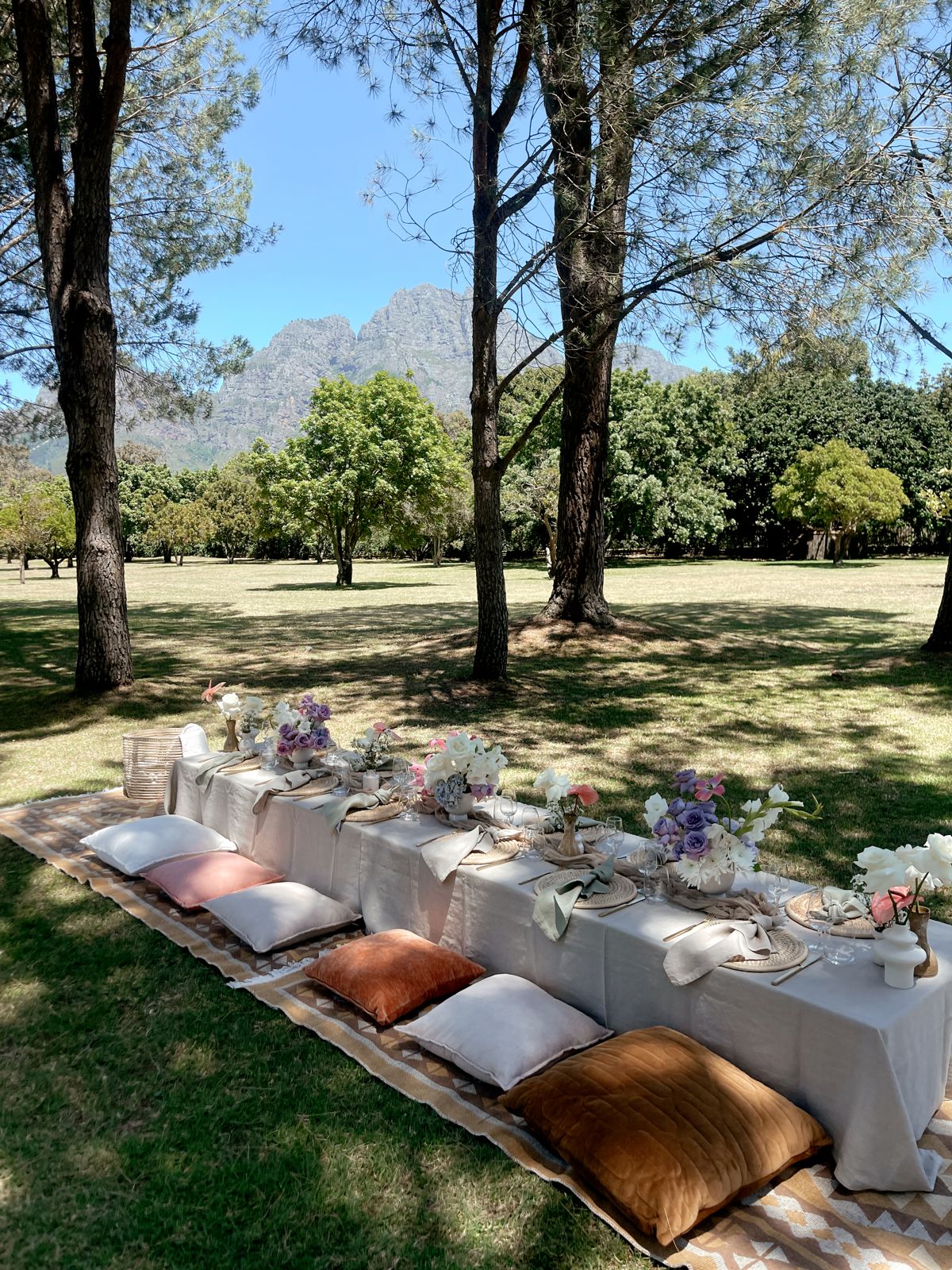 Long low picnic table under the trees with a mountain view