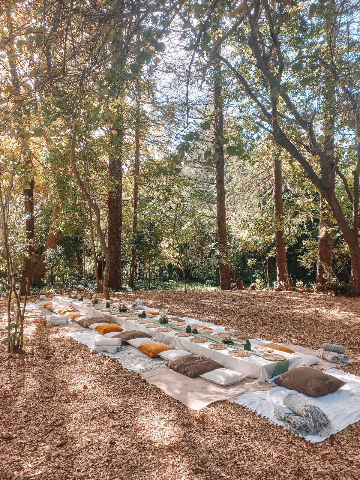Long picnic table on the forest floor