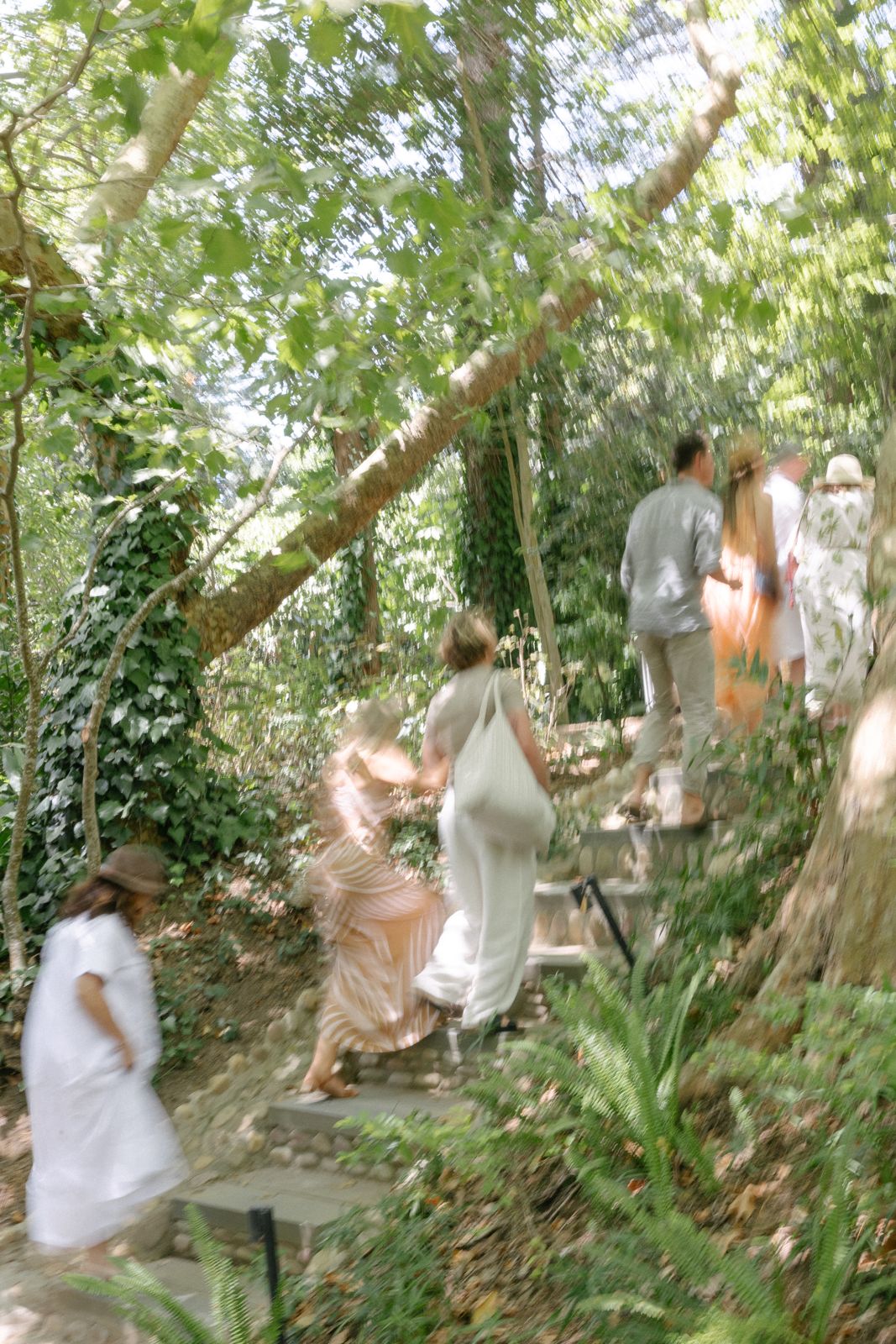 Guests walking up a garden path through the trees