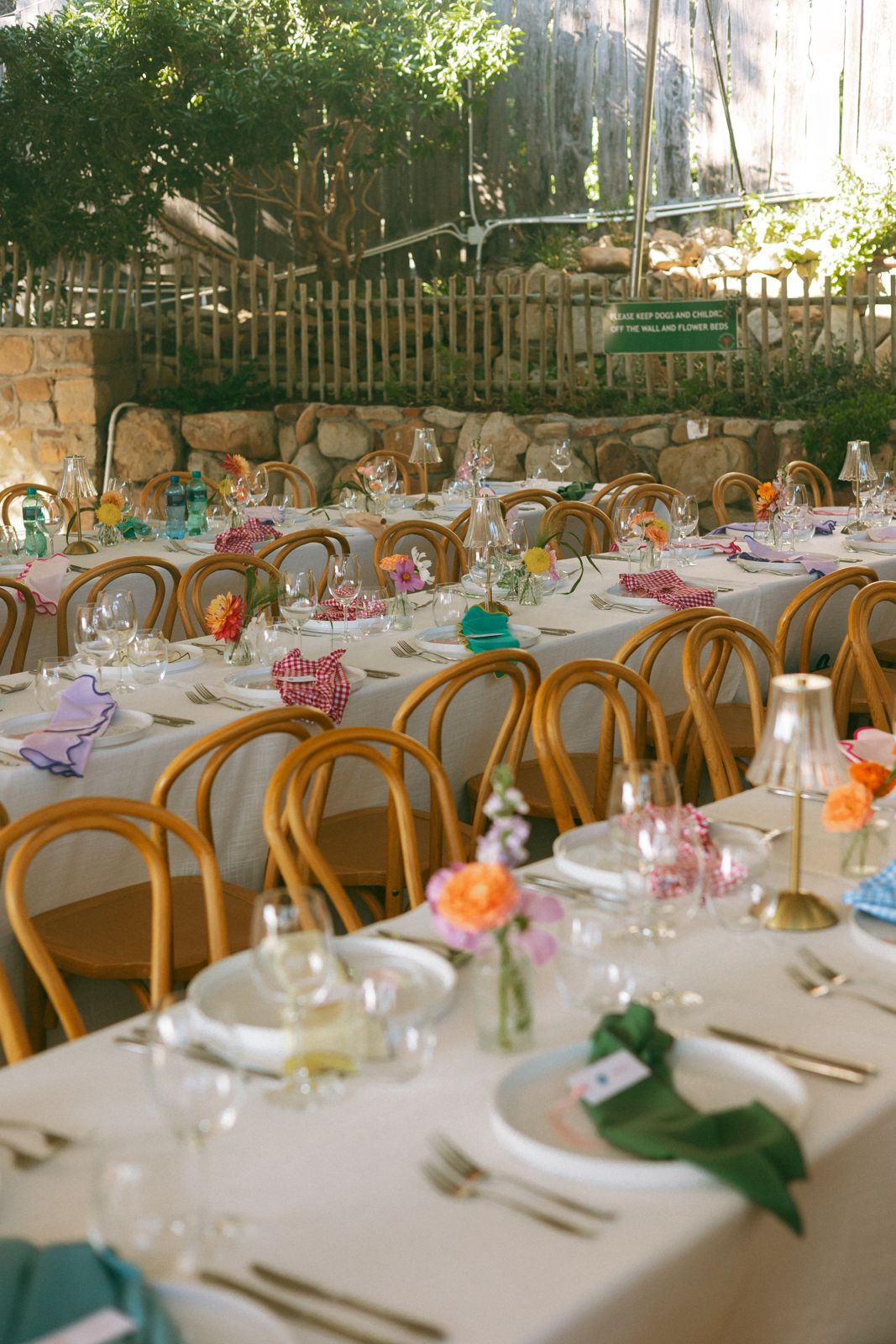 Long tables with bentwood chairs and bright napkins