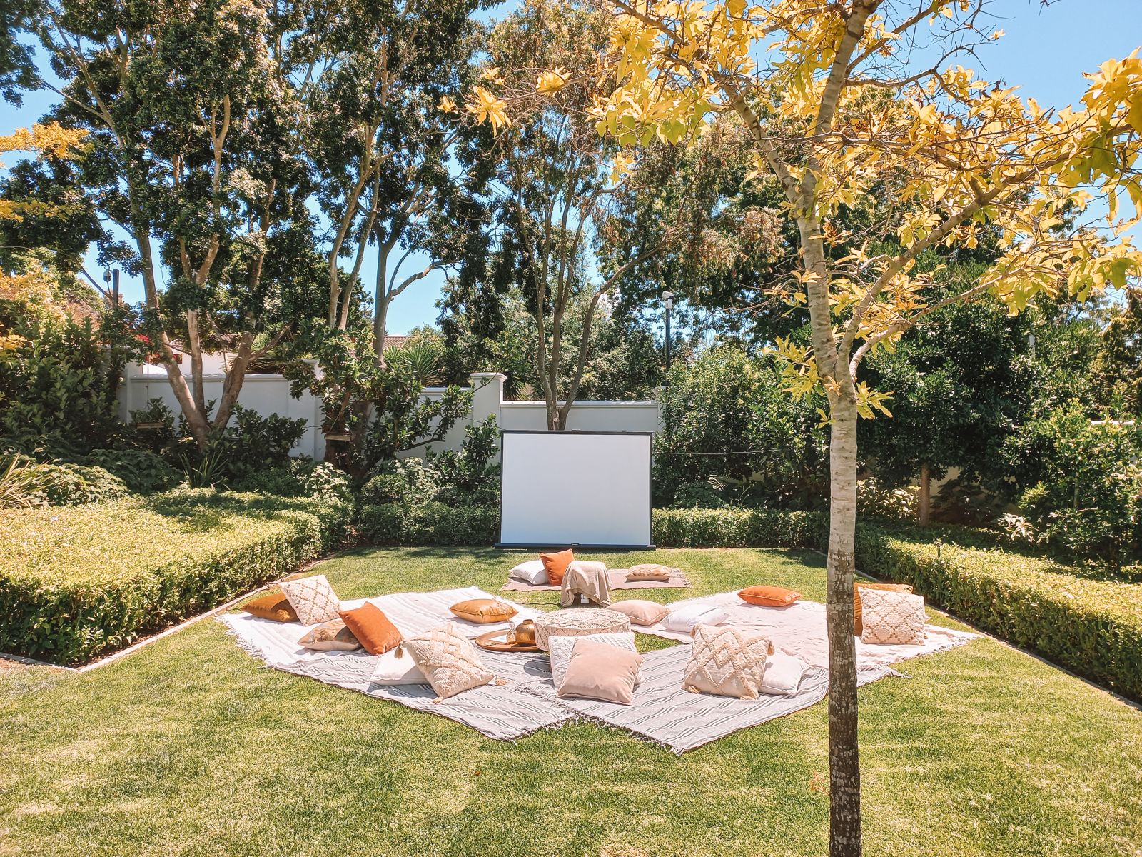 Garden cinema with cushions and blankets beneath a golden tree