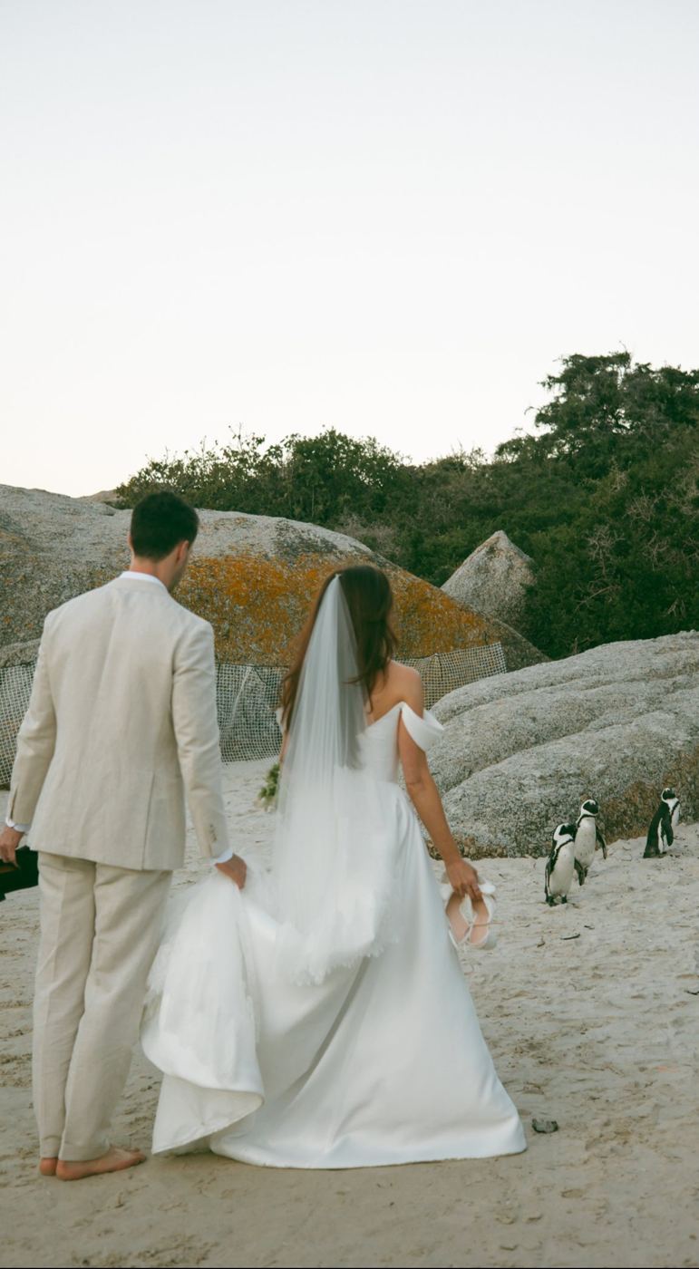 Bride and groom walking among the boulders and penguins of a Cape beach